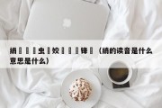 绡悆鍗虫椂姣斿垎鎹锋姤（绡的读音是什么意思是什么）