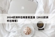 2024欧洲杯在哪里看直播（2022欧洲杯在哪看）