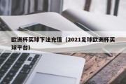 欧洲杯买球下注充值（2021足球欧洲杯买球平台）